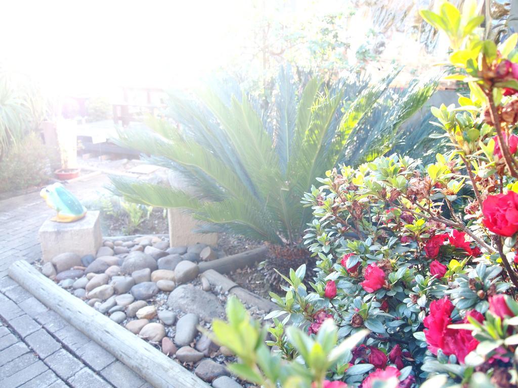 Havana Nights Chalet Graskop