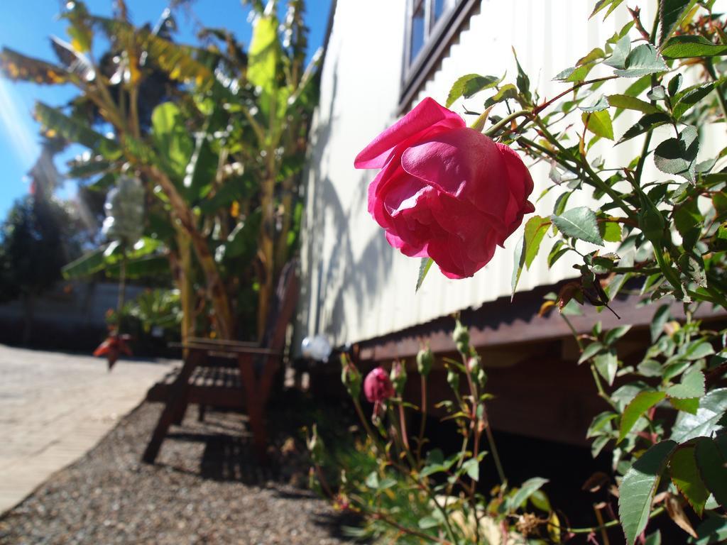 Havana Nights Chalet Graskop