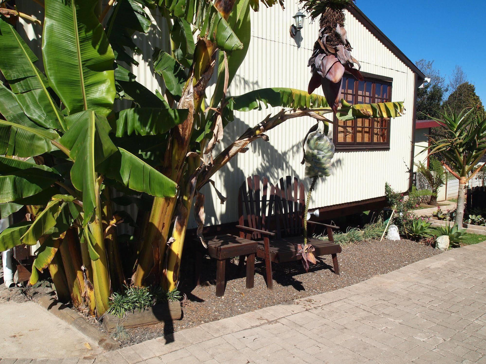 Chalet Havana Nights *