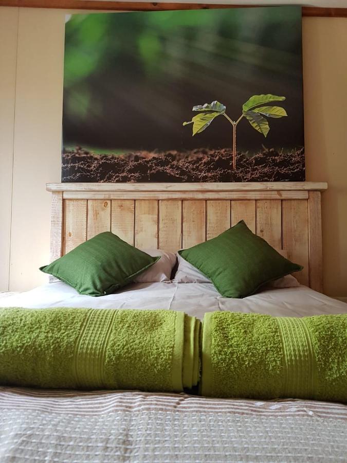Havana Nights Chalet